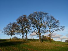 Primrose Hill