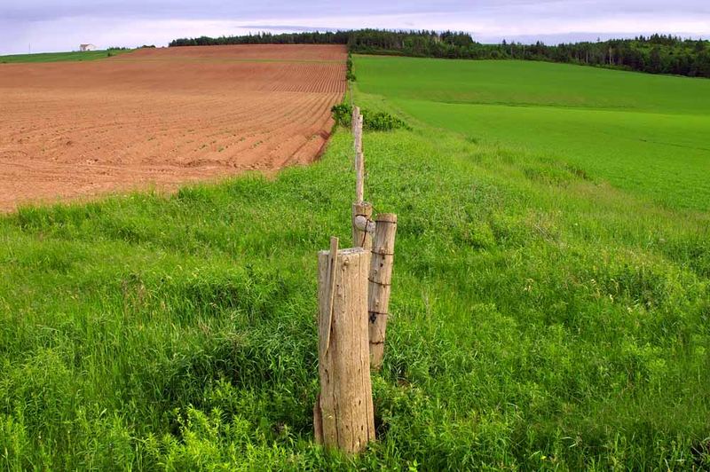 Prince Edward Island 09