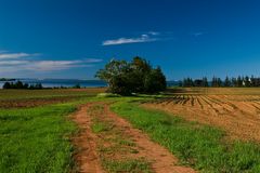 Prince Edward Island