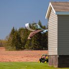 Prince-Edward-Island-North-Cape-Garon-20170521_3083