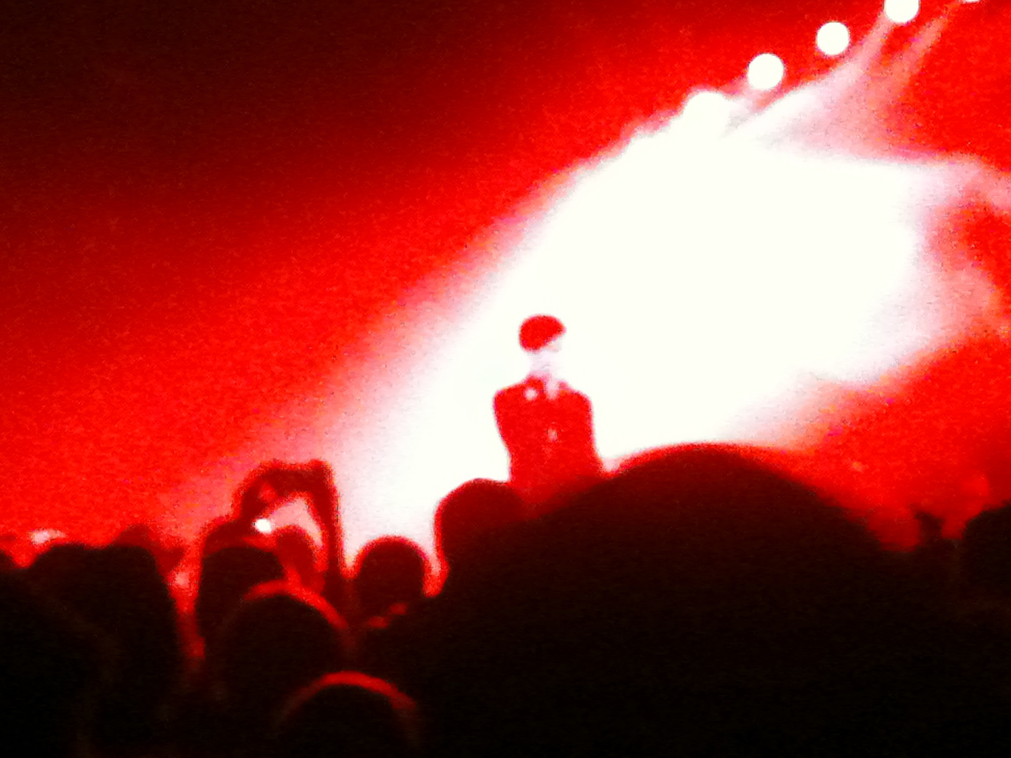 Prince in concert (Zurich 2011)