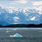 Prince William Sound