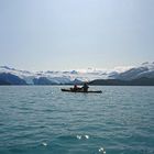 Prince William Sound: Eisiges Tierparadies Alaskas