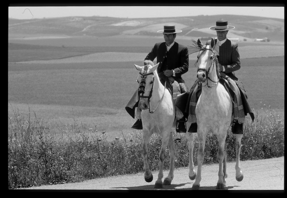 princes on white horses