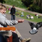 Princes Street Gardens - Edinburgh