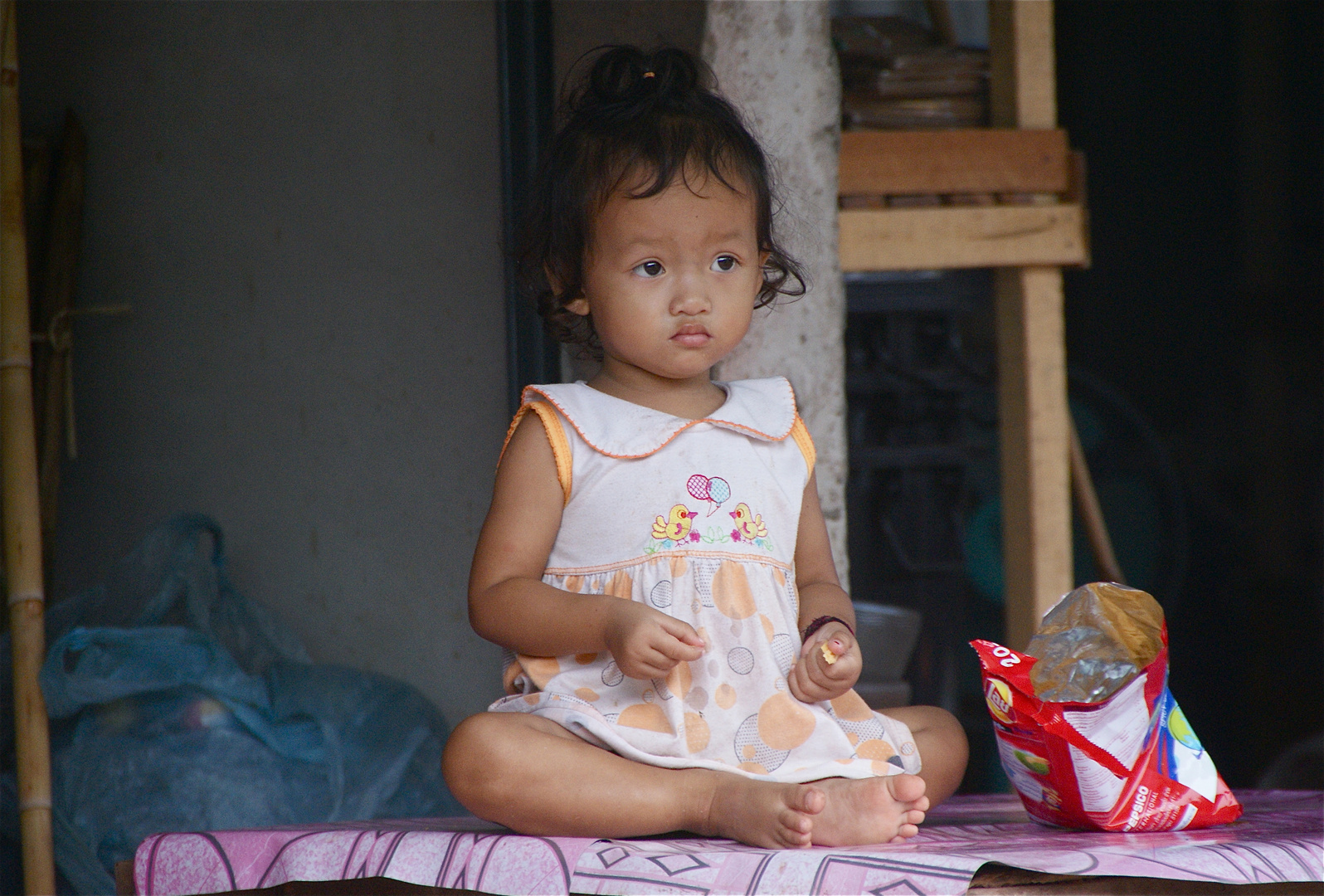 princess, laos 2010