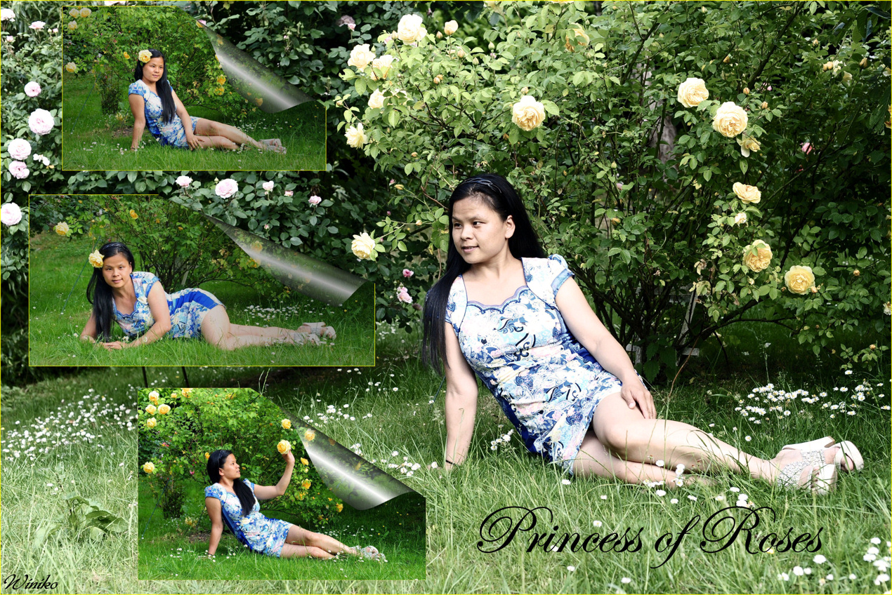 Princess of Roses