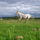 Princesse au galop!