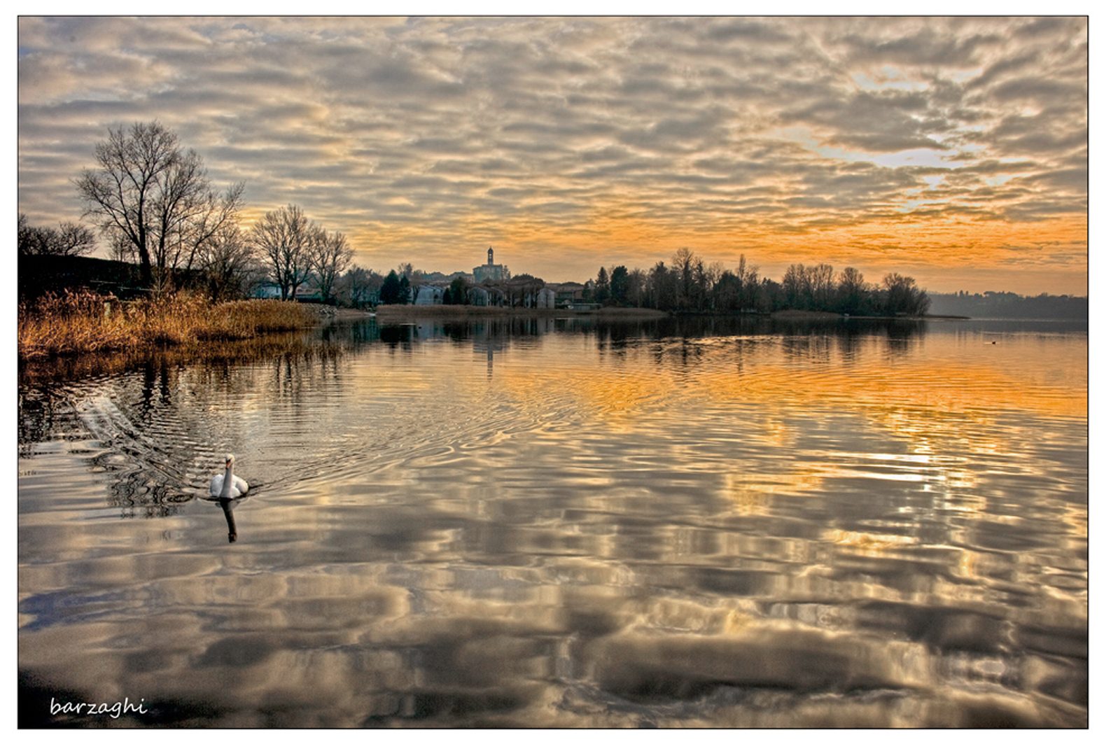 Principessa del lago dei Cigni