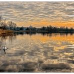 Principessa del lago dei Cigni