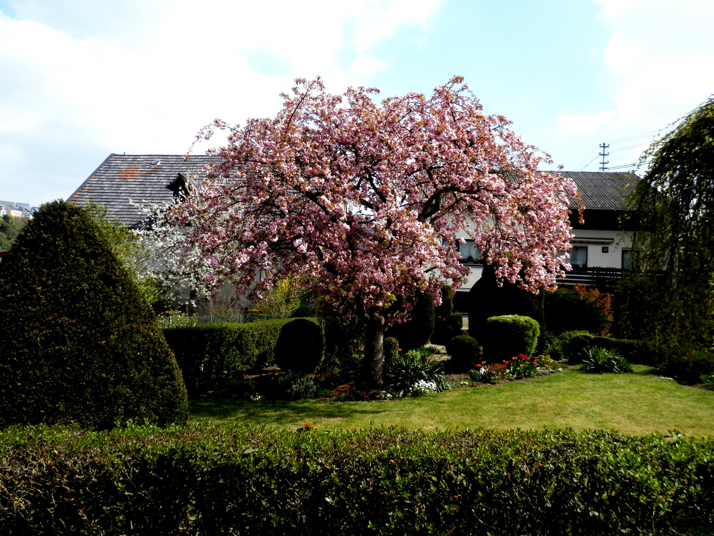 Printemps 2017 à Runkel