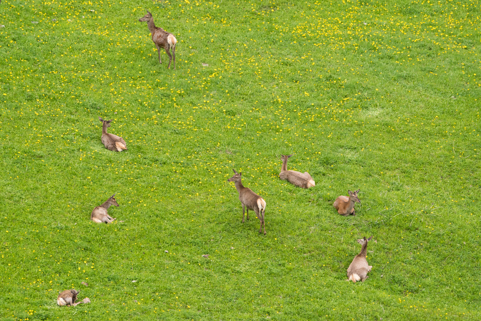 Printemps 2019