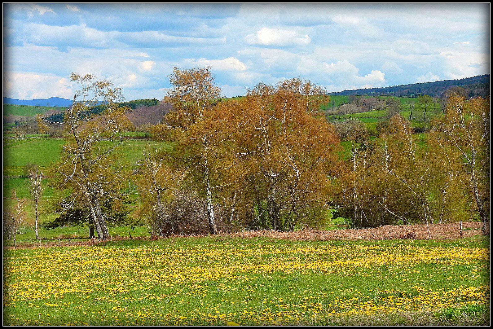 Printemps