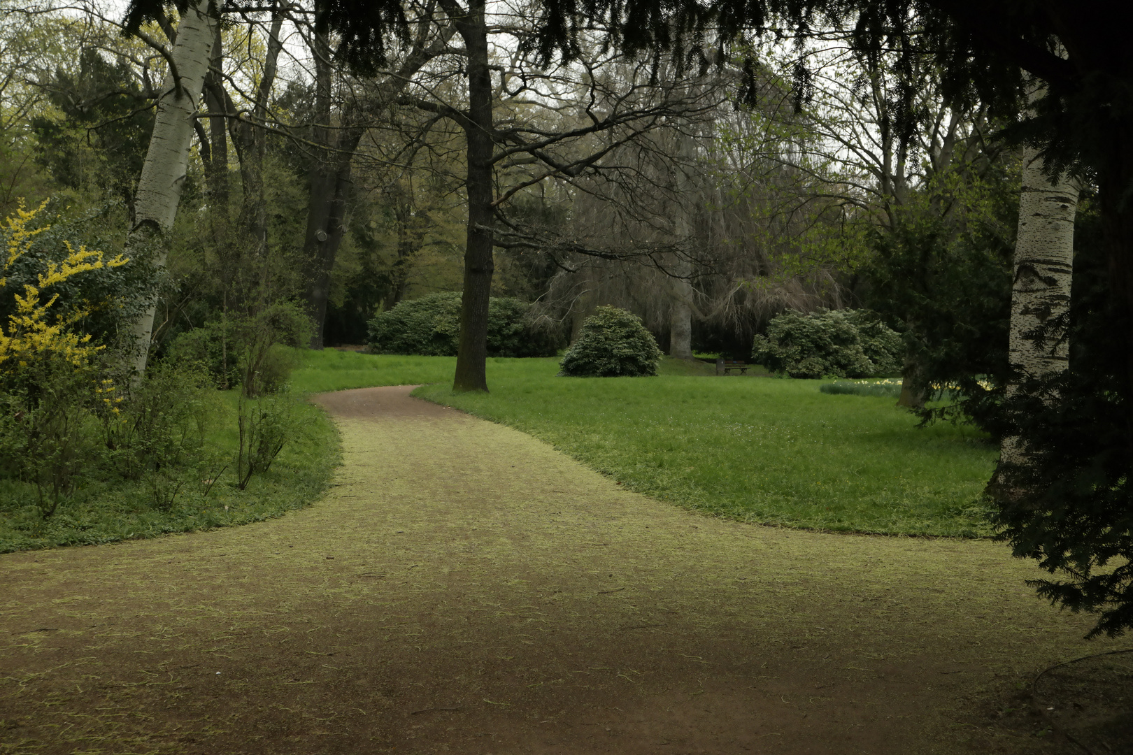 Printemps à Dresde