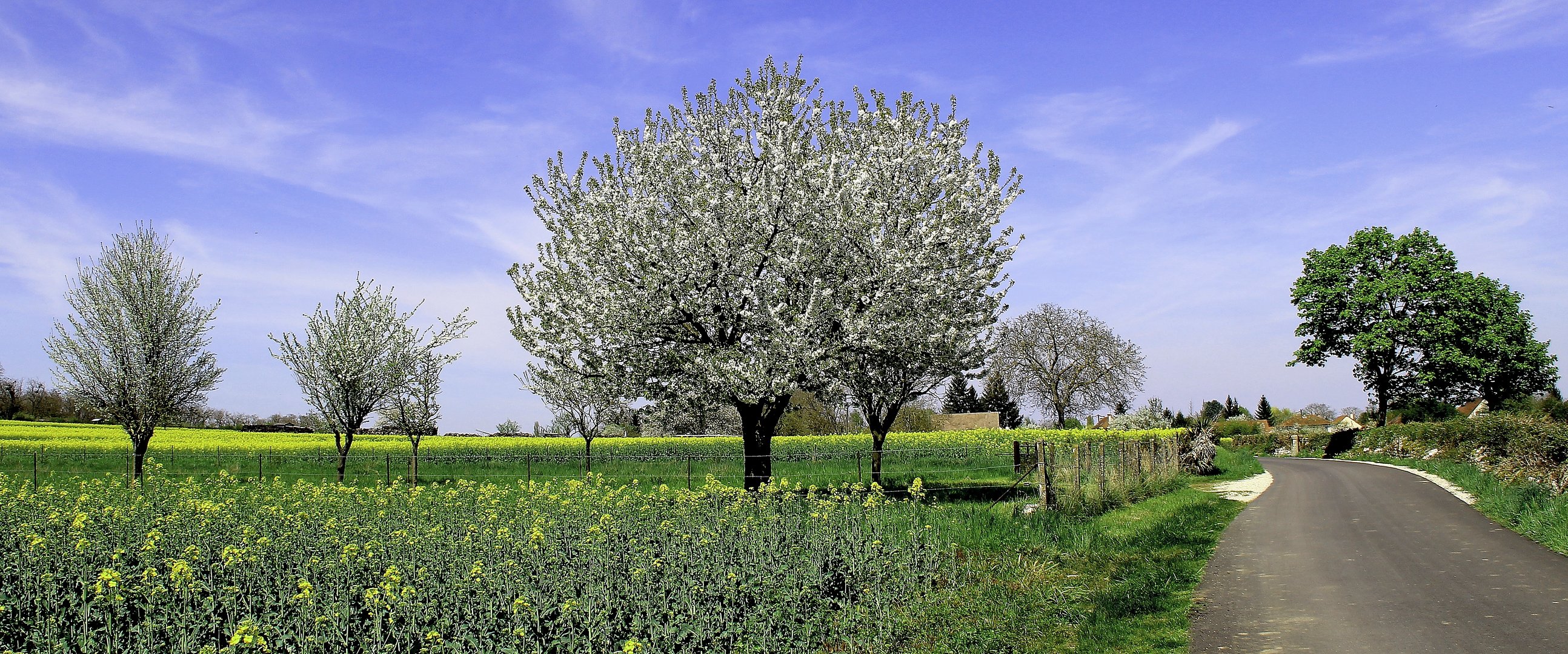 Printemps à la campagne