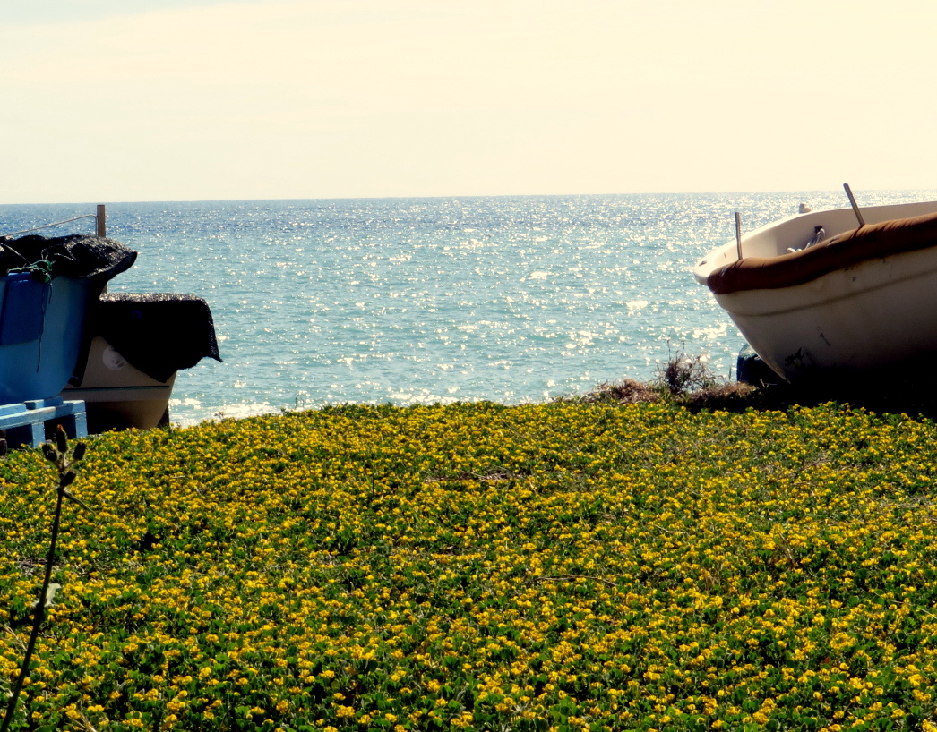 printemps à la mer