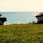 printemps à la mer