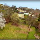 Printemps à Sarlat