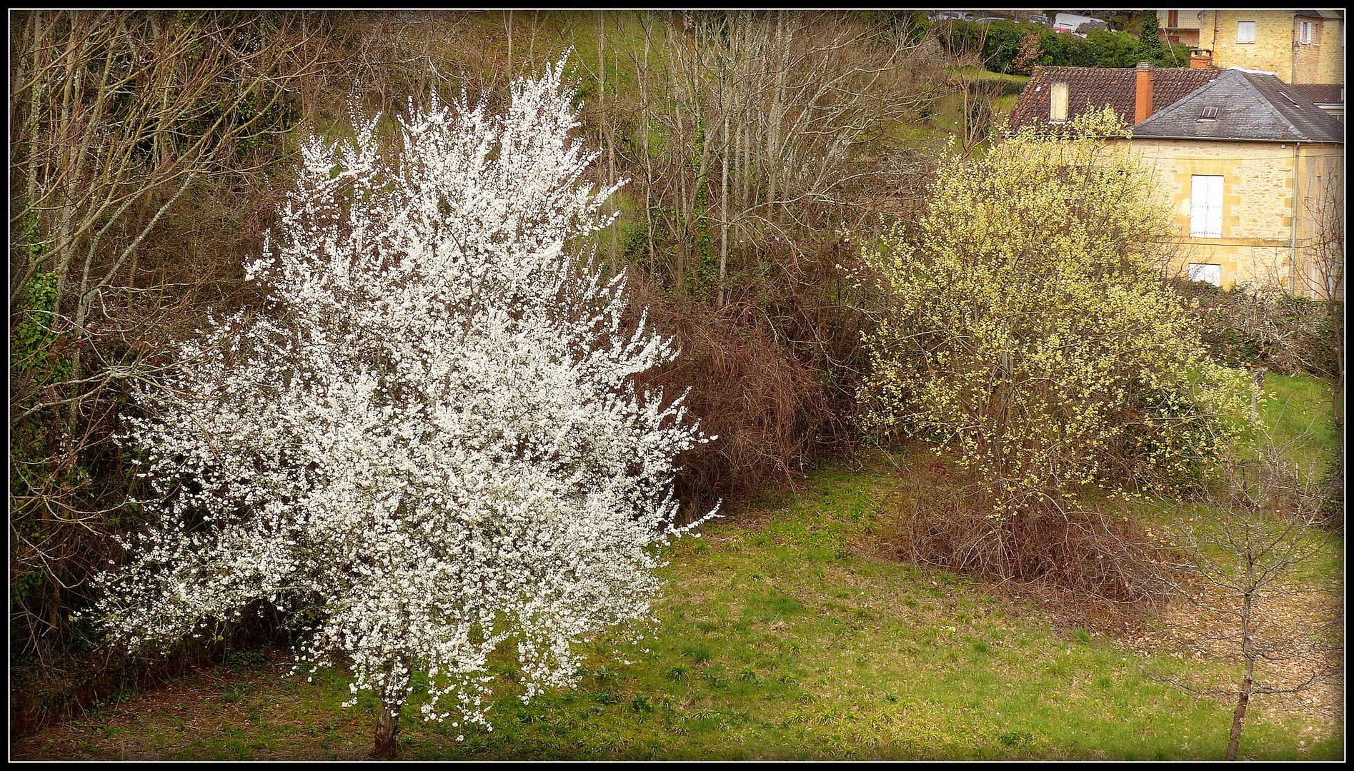 Printemps à Sarlat 