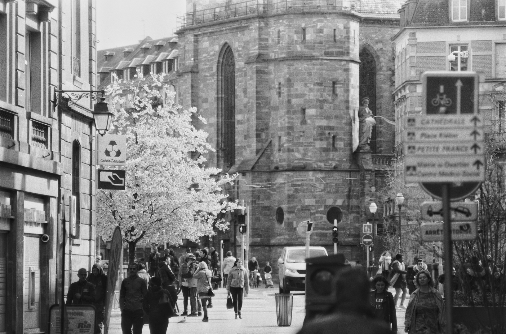 Printemps à Strasbourg