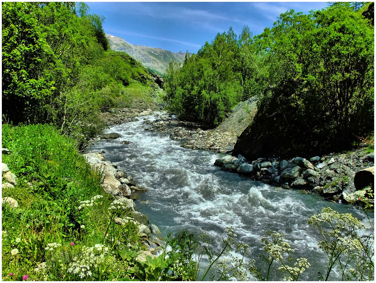 Printemps alpin (2)