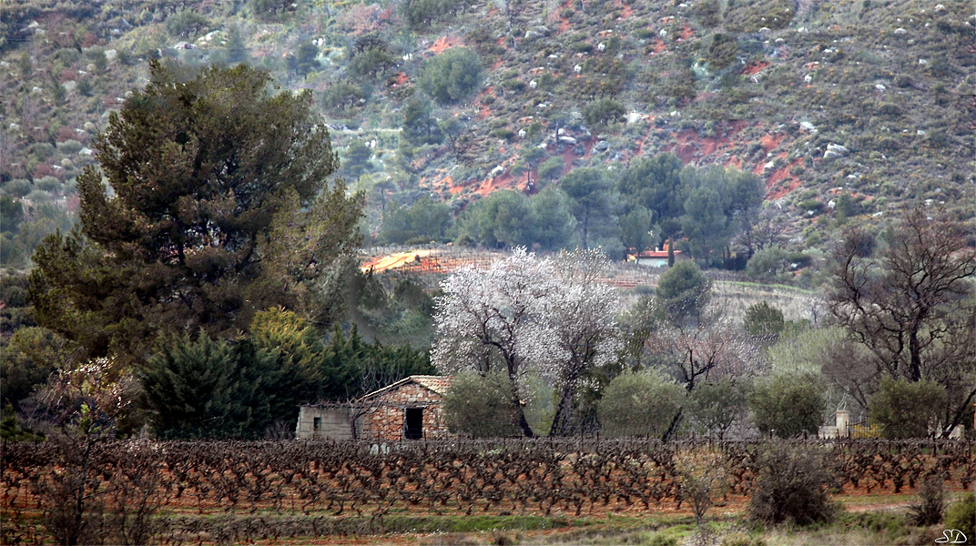 Printemps au cabanon.