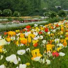 Printemps au jardin des plantes