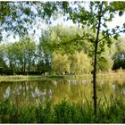 Printemps au parc Angrignan