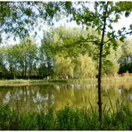 Printemps au parc Angrignan