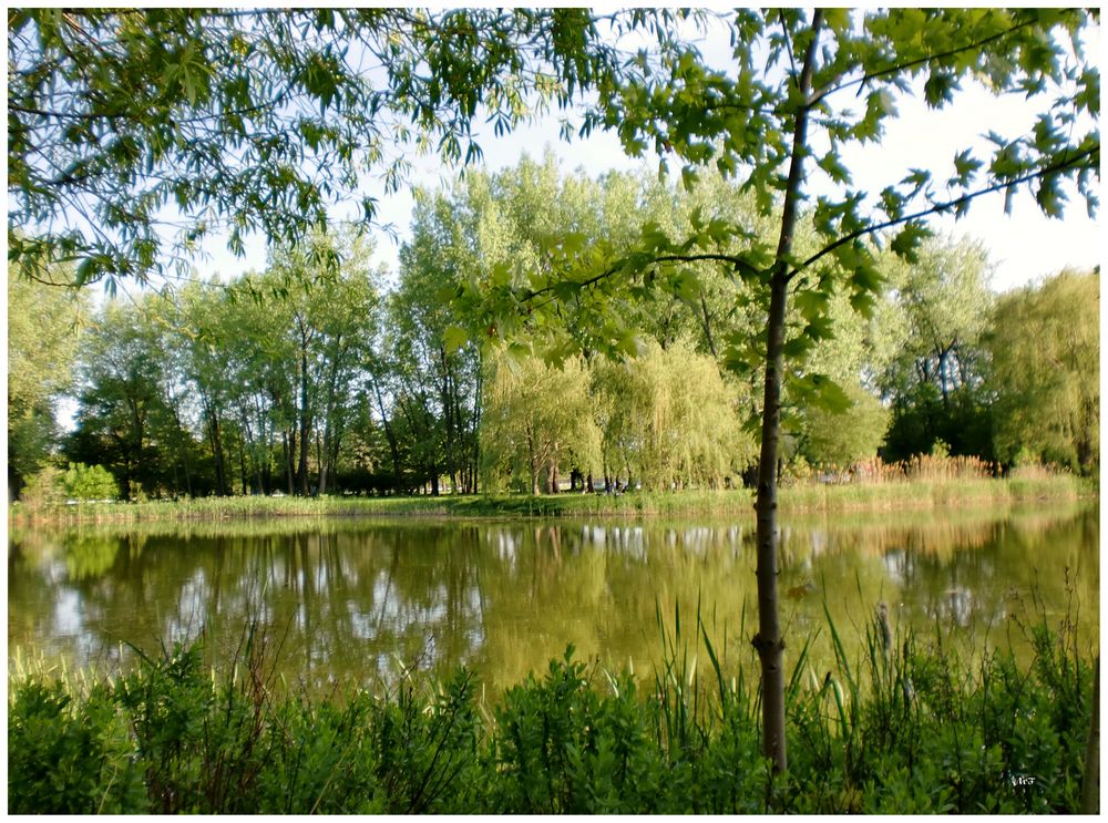 Printemps au parc Angrignan