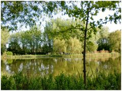 Printemps au parc Angrignan