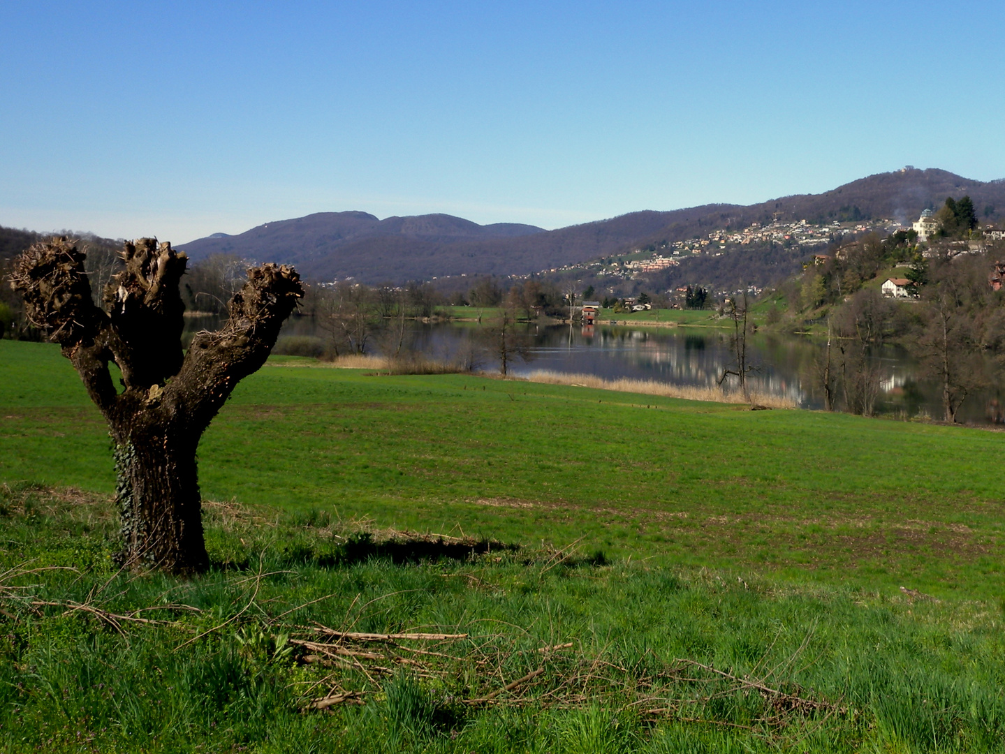 Printemps au / Primavera en / Frühling im = Tessin...07