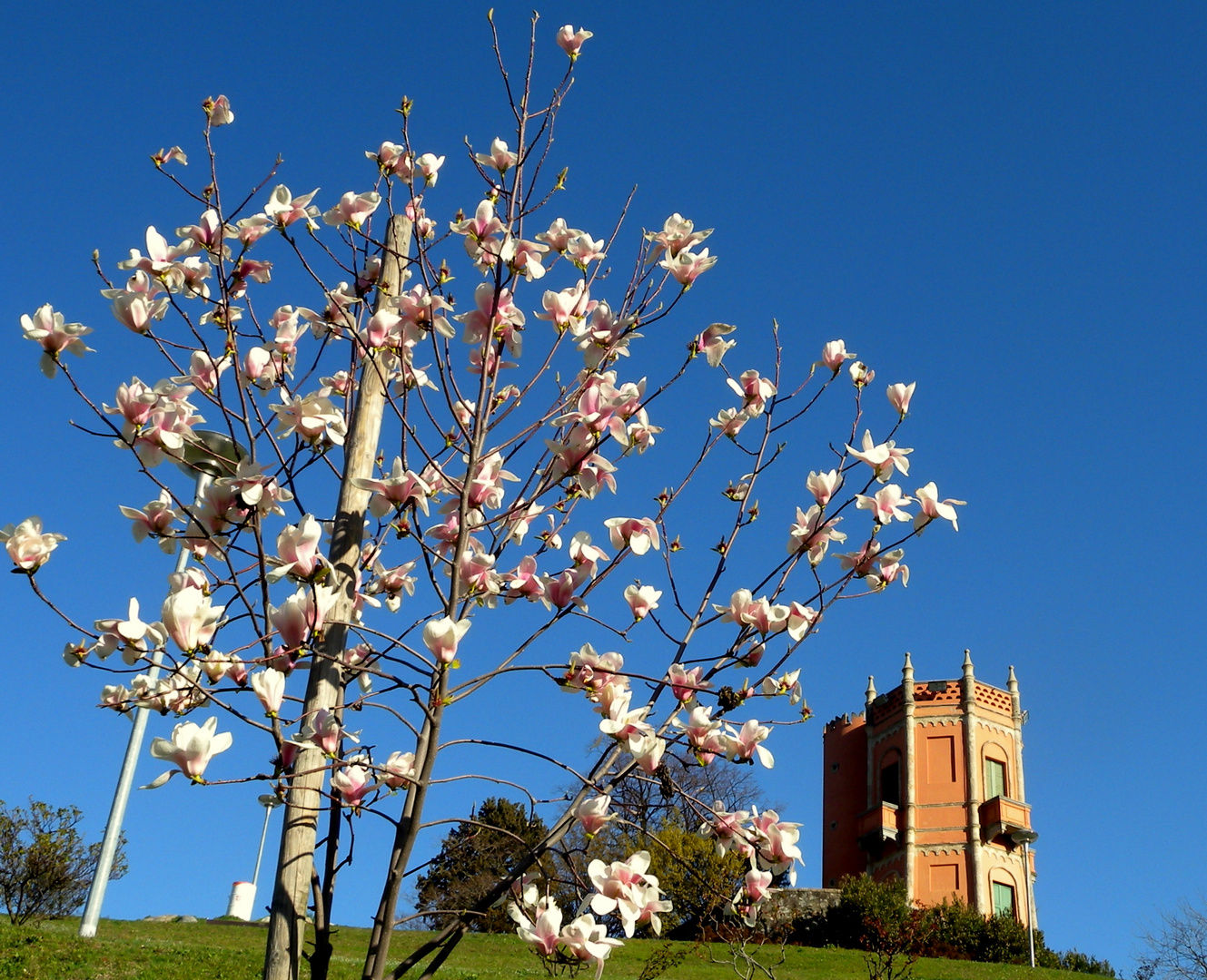 Printemps au / Primavera en / Frühling im = Tessin...12