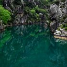 Printemps au Verdon .