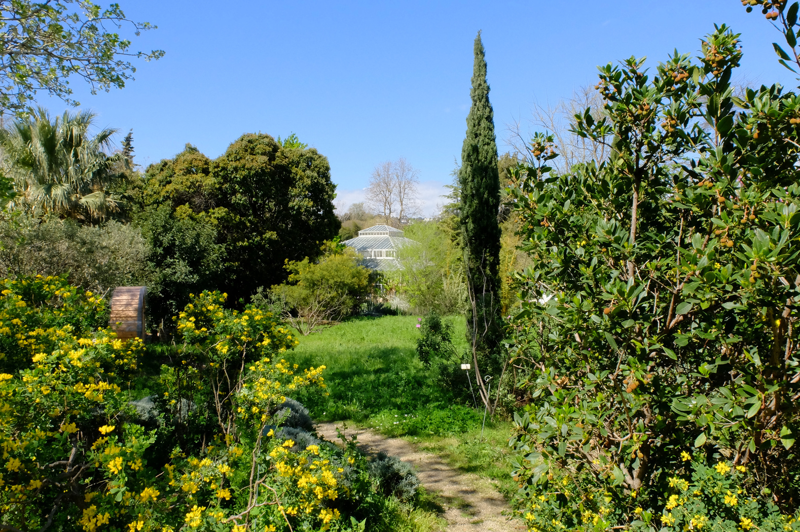 Printemps botanique (4)