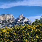 Printemps-Calanques (4)