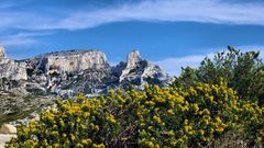 Printemps-Calanques (4)