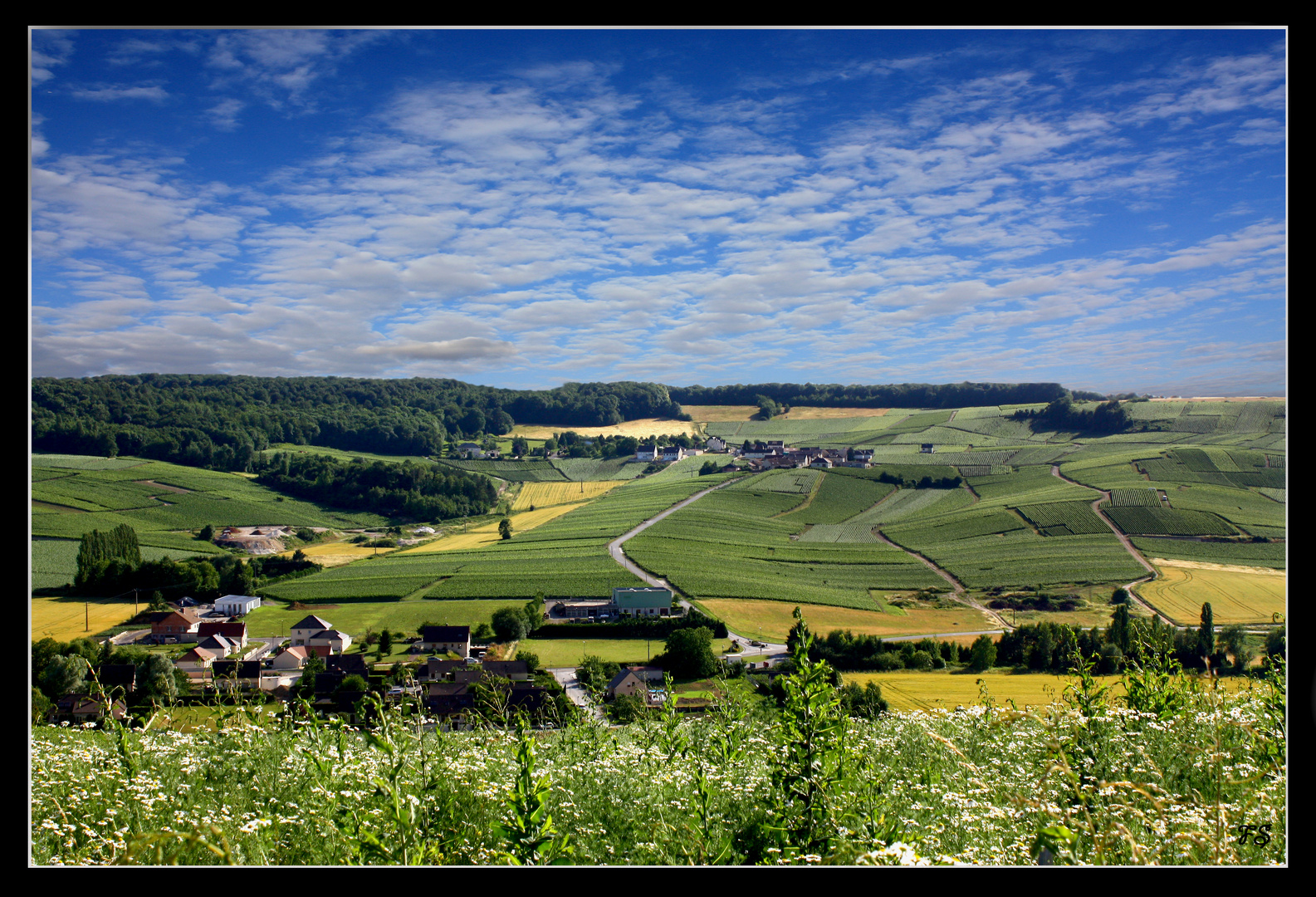 Printemps Champenois à Montgrimaux