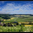 Printemps Champenois à Montgrimaux