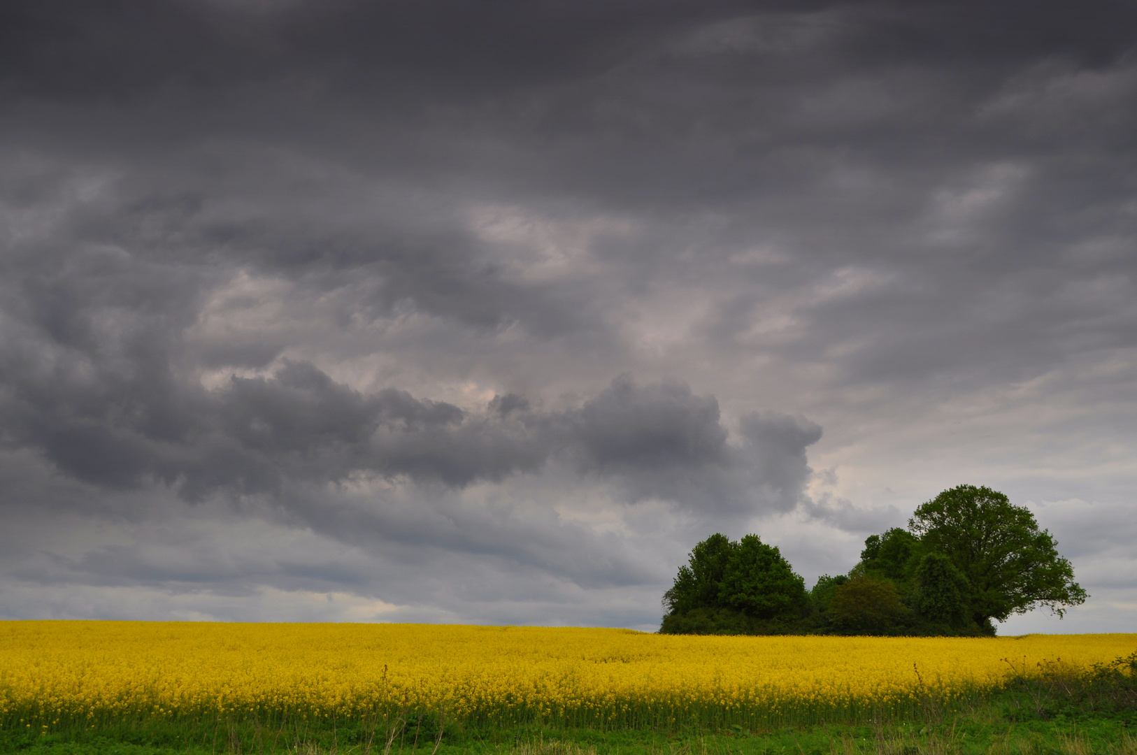 Printemps couvert