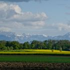 Printemps dans la campagne genevoise