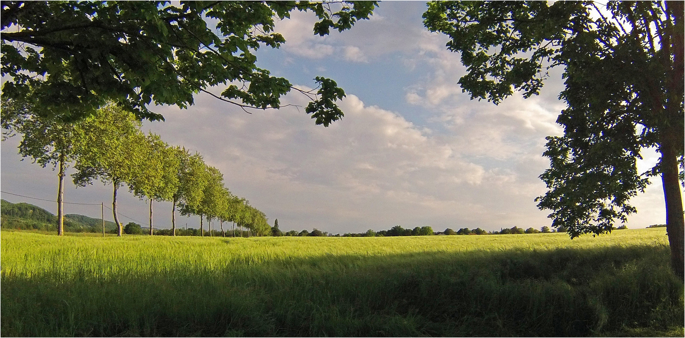 Printemps dans le Gers