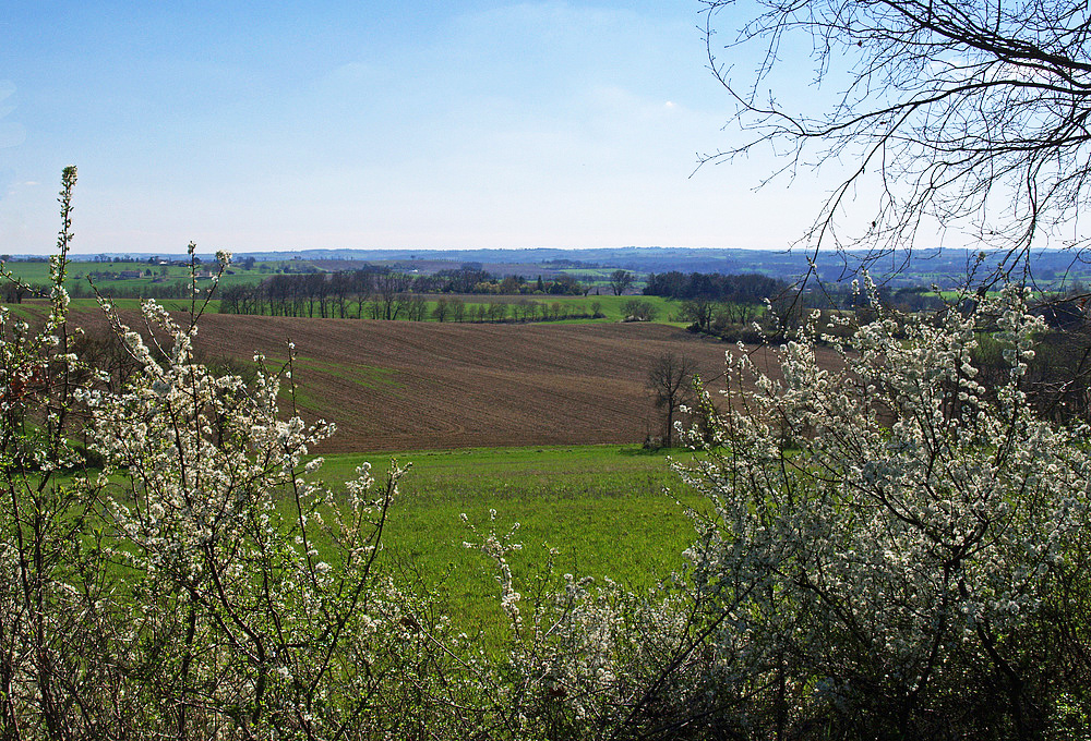 Printemps dans le Gers près de Condom -- Frühling in dem Gers nahe Condom