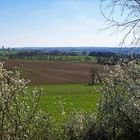 Printemps dans le Gers près de Condom -- Frühling in dem Gers nahe Condom