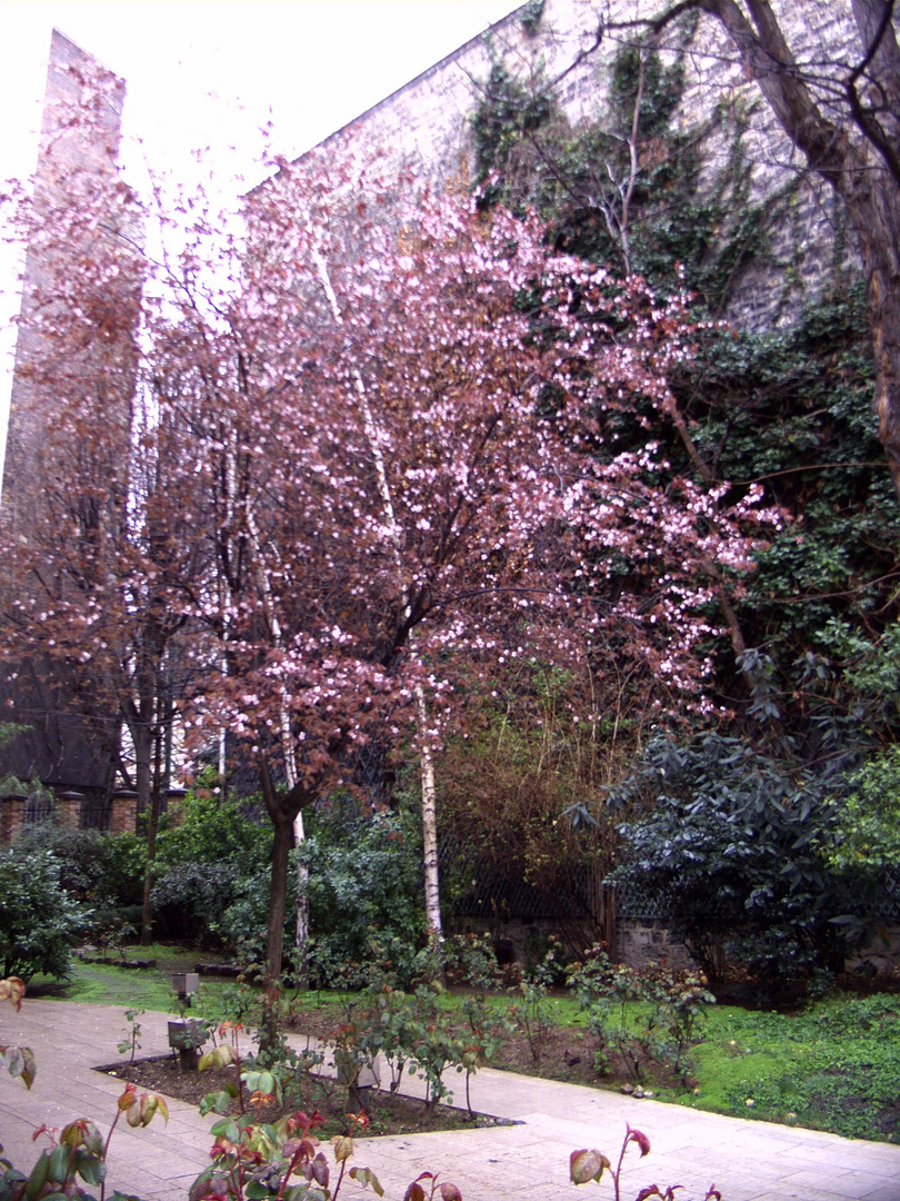 Printemps dans le Quartier du Marais