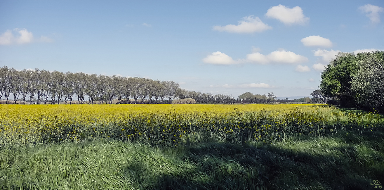 Printemps dans les Alpilles 