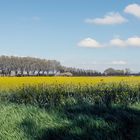 Printemps dans les Alpilles 