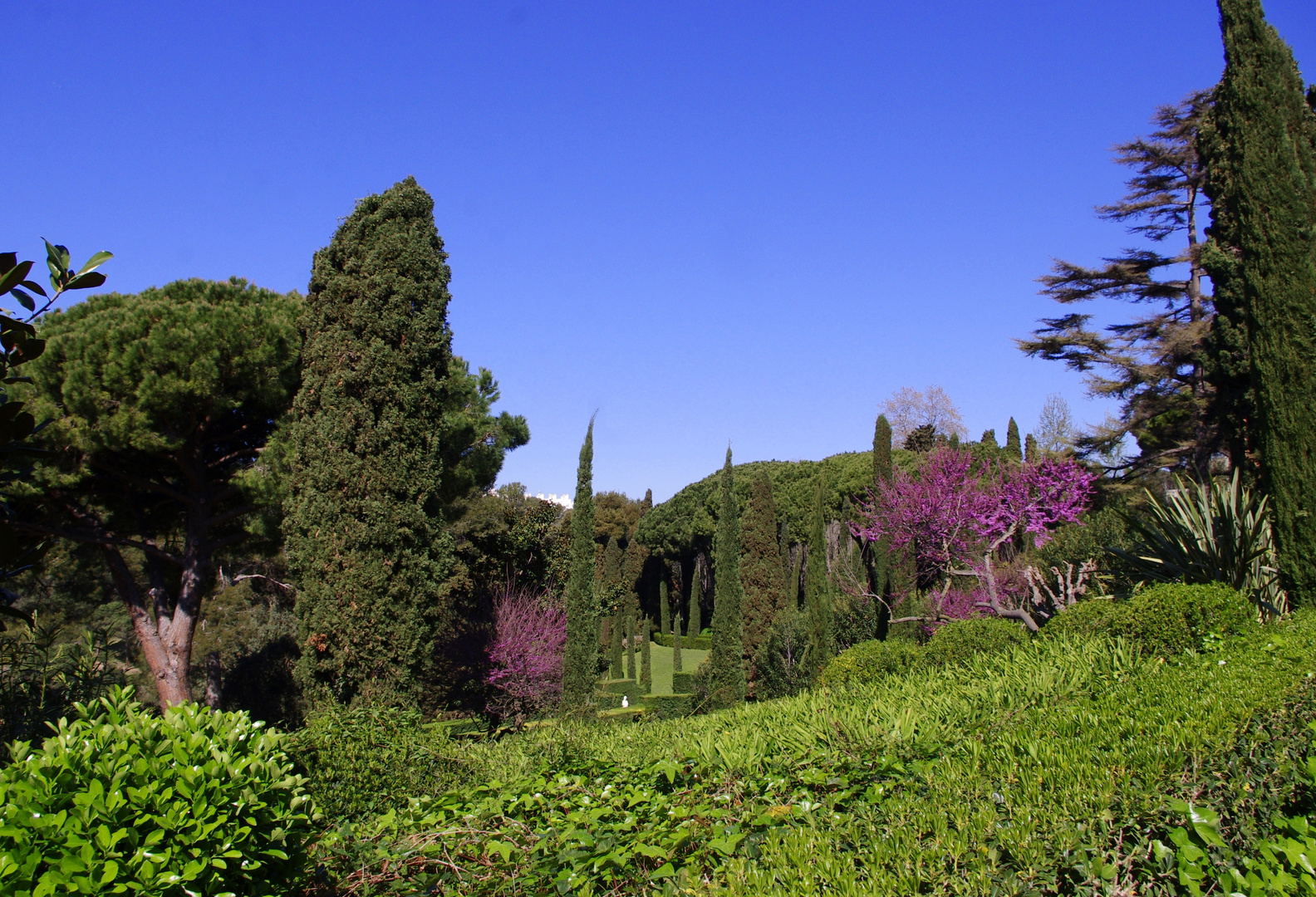 Printemps dans les Jardins de Ste Clotilde, Espagne