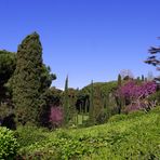 Printemps dans les Jardins de Ste Clotilde, Espagne