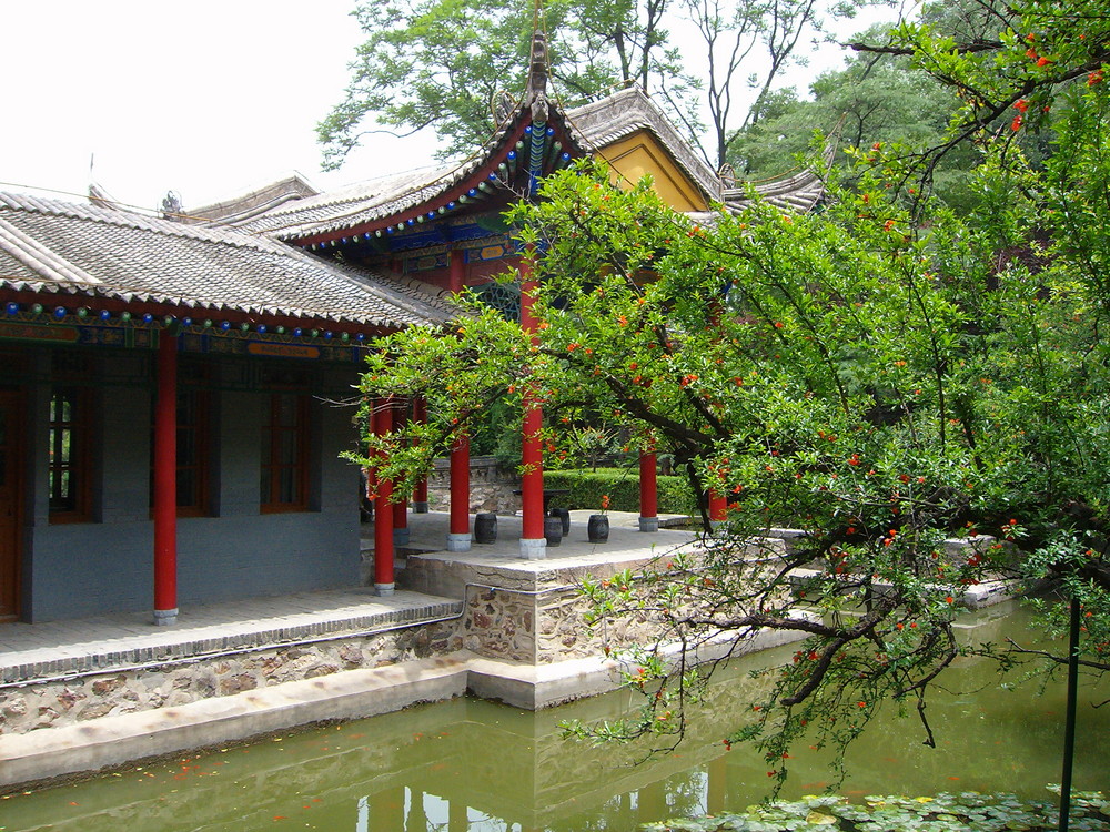 printemps dans un jardin chinois